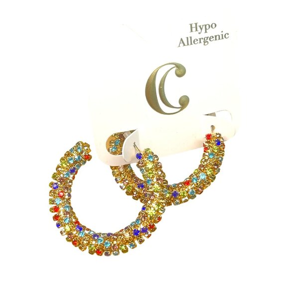 Charming Charlie Hypoallergenic Rainbow Crystal Hoop Earrings MSRP 48 - Picture 4 of 8